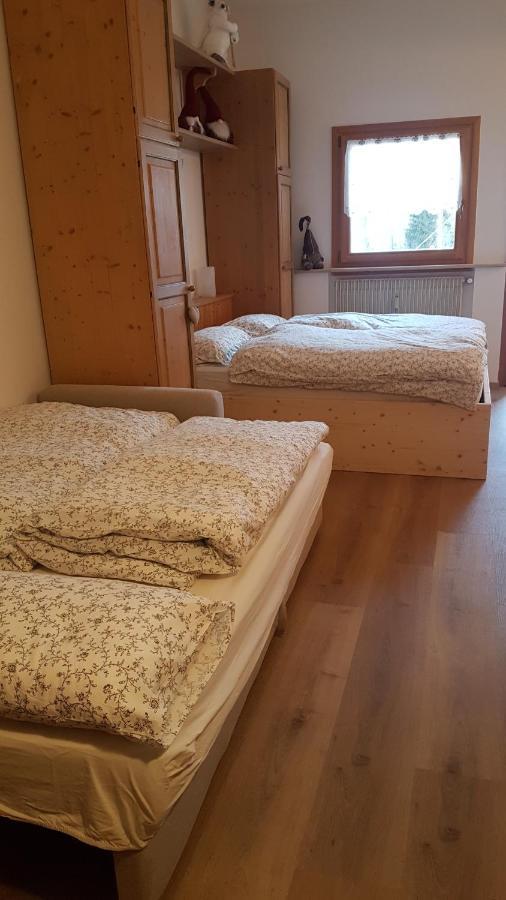 La Casa Degli Gnomi Apartment Falcade Ngoại thất bức ảnh